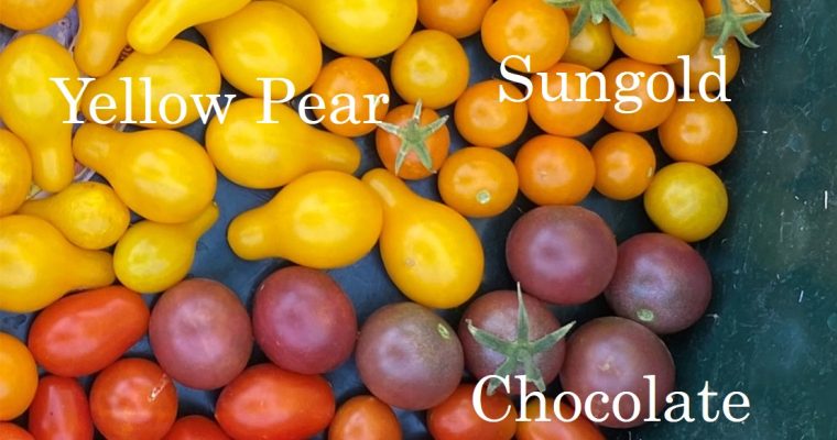 Test post