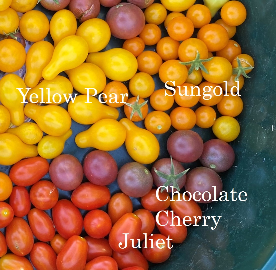 Test post
