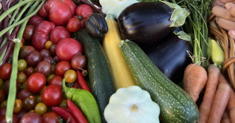 Monsoon Planting Guide